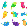 Set of colorful exotic and tropical parrot, cute bird