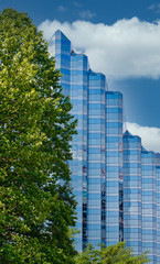 Canvas Print - A blue glass office tower beyond a green tree