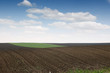 Plowed and green wheat fields in spring agriculture