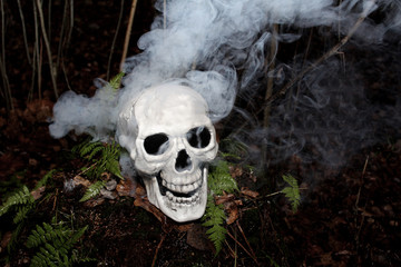  Grinning white human skull with blue smoke around it in the middle of the forest