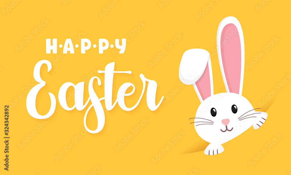 Easter rabbit, easter Bunny. Vector illustration. - obrazy, fototapety, plakaty 