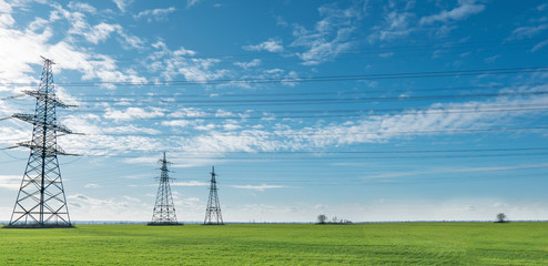 Wall Mural - Electrical net of poles on a panorama of blue sky and green meadow