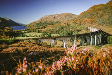 Glenfinnan Viaduct With Scenic Panorama