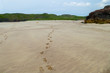 Fußspuren im Sand, am Strand von Oldshore Beg, Nordwestküste von Schottland