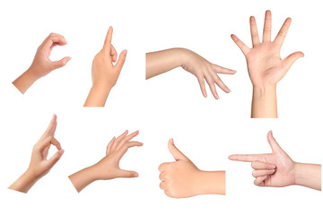 Wall Mural - Set of woman hands gesturing isolated on white background.