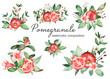 Watercolor set of bouquets, compositions of pomegranate, leaves, flowers, grains, halves of pomegranate