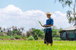 © 2B - Innovation technology for smart farm system, Agriculture management, Hand holding smartphone with smart technology concept. asian male farmer working in Sugarcane farm To collect data to study.