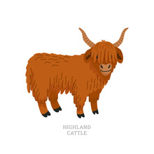 Rare Animals Collection. Highland Cattle. Scottish Breed Of Long-haired Cattle. Flat Style Vector Illustration Isolated On White Background