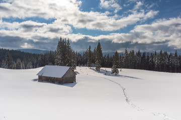 Wall Mural - Charming snow-capped houses on a mountain Carpathian mountain valley, with magnificent views of peaks in winter.