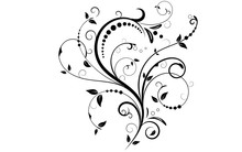 Floral elements design, luxury ornamental graphic element border, swirls flowers,foliage swirl decorative design for page decoration cards, wedding, banner, logos, frames, labels, cafes, boutiques