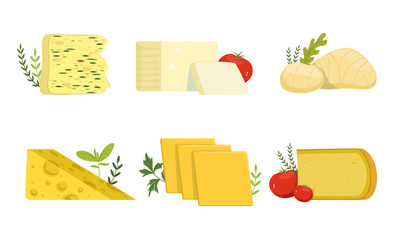 Sticker - Various Types of Cheese Collection, Delicious Fresh Dairy Products Vector Illustration Isolated on White Background