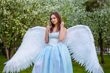  Attractive, young woman in a white corset and a blue puffy dress with large white angel wings behind her back poses against a background of blooming apple trees in the park. An angel strolling throug