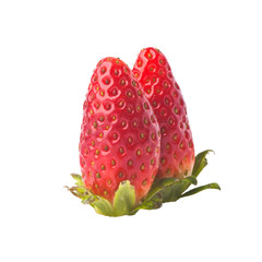 Wall Mural - strawberry or strawberry with concept on background new.