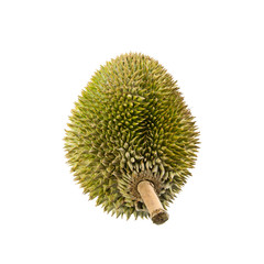 Wall Mural - durian or durian with concept on background new.