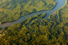 River In Tropic Costa Rica, Corcovado NP. Lakes And Rivers, View From Airplane. Green Grass In Central America. Trees With Water In Rainy Season. Photo From Air.