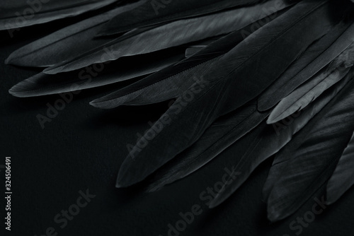 black background