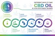 © AomoDigital - CBD oil in your supplement regimen Infographics. info poster, brochure cover template layout with flat design icons, other elements.