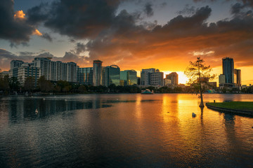 Fototapete - Colorful sunset above Lake Eola and city skyline in Orlando, Florida