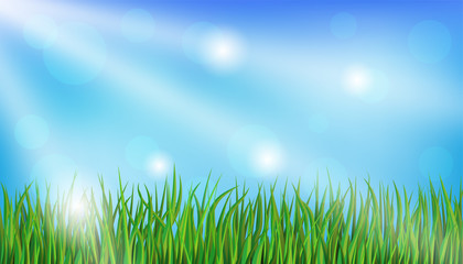 Wall Mural - Green grass and blue sky with sunbeams and shine.