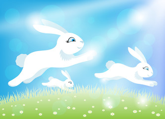 Wall Mural - White easter bunnies on a green meadow and blue sky with sunbeams and shine.