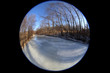 Frozen river in forest. Circular fisheye landscape