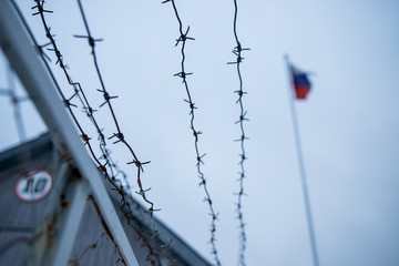 Wall Mural - Metal fence with barbed wire on a russian flag