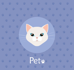 Poster - face of cat white in background with pawprints vector illustration design