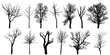 Set of autumn bare trees, silhouettes. Vector illustration.