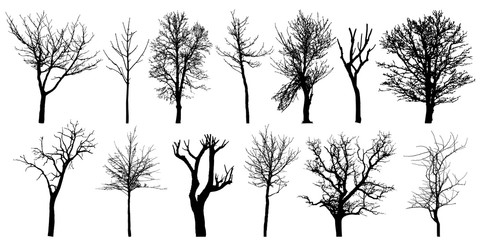 Wall Mural - Set of autumn bare trees, silhouettes. Vector illustration.