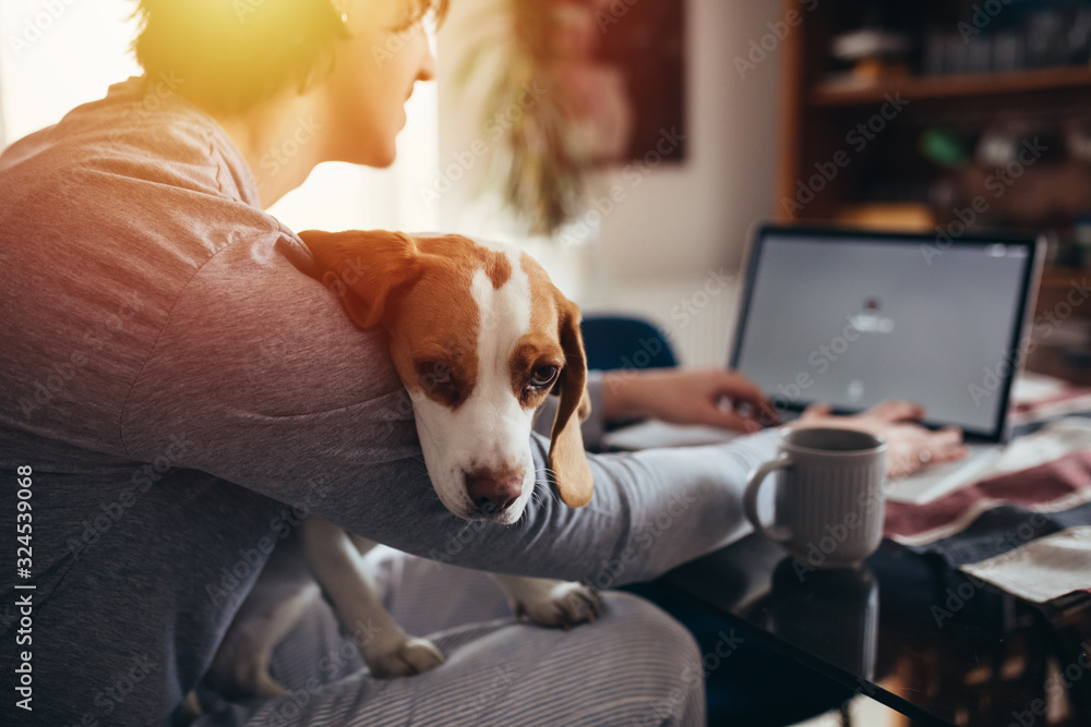 young man cuddling with his dog while drinking morning coffee and using laptop in his kitchen - obrazy, fototapety, plakaty 
