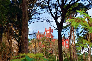 Wall Mural - scorcio del Palácio da Pena situato sulle colline della città di Sintra a Lisbona. Il palazzo è stato dichiarato patrimonio mondiale dell'UNESCO ed è stato eletto una delle 7 meraviglie del Portogallo