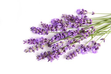 Wall Mural - Lavender bouquet.