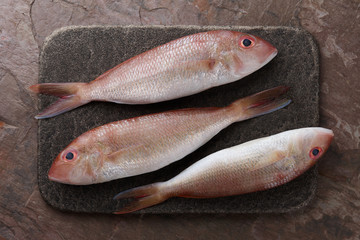 Wall Mural - Fresh red mullet fish on stone background