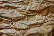 Brown Wrinkled Kraft Paper
