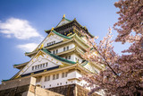 Fototapeta Dziecięca - Osaka castle with blooming sakura trees