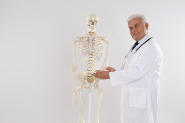 Sticker - Senior orthopedist with human skeleton model against light background