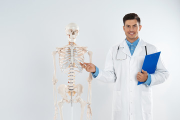 Poster - Male orthopedist with human skeleton model against light background