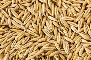 Oat grain background. The texture of raw natural organic seed, top view closeup