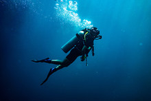 The Diver Free Stock Photo - Public Domain Pictures