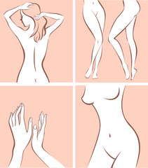 Wall Mural - stylized female body parts