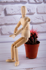 Wooden man sitting down on cactus on white background Hemorrhoid concept