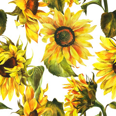 Watercolor seamless pattern with sunflowers on an isolated white background, botanical painting.