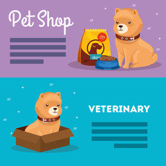 Wall Mural - set poster of pet shop veterinary with icons vector illustration design