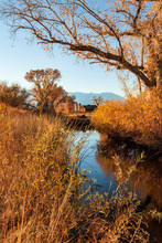 Meadow Creek With Autumn Grasses And Tree In November With Distant Abandoned One Hundred Year Old Dairy Farm Barn And Silos And Sierra Nevada Mountains