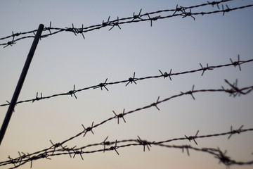 barbed wire