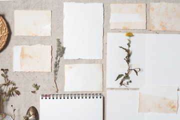 Wedding invitation mockup with dry plants , old papers on grey textile background. Top view, flat lay. Wedding stationary. Perfect for presentation of your invitation, menu, greeting cards