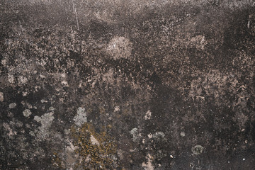 wall texture can be used for background, copy space