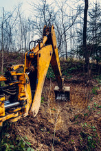 The Excavator Works In The Forest In Clearing The Forest.