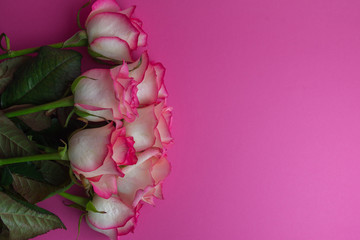 Wall Mural - Bouquet of roses on pink background. Close up of flowers. Concept of Mothers Day, 8 March, Women’s Day. .