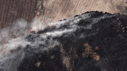 Wall Mural - Field fire, top down aerial drone view. Grass burning with flame and smoke